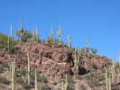 PICTURES/Tonto National Monument/t_Area around ruins.JPG